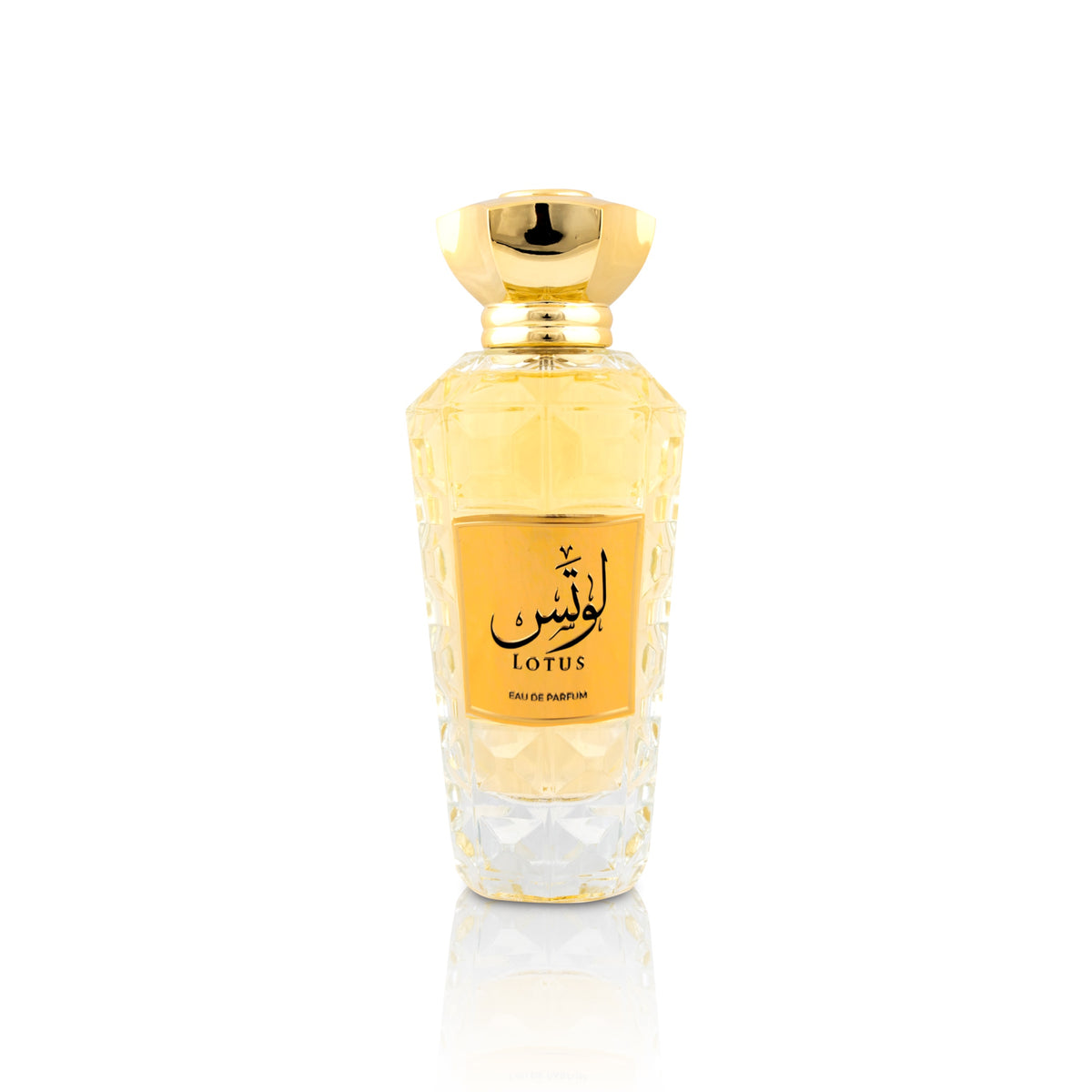 Mamlakat_Al_Oud_Lotus_New_1